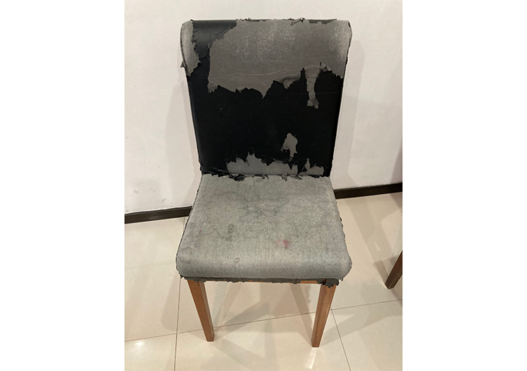 SADIIQ INTERIORISMO PUEBLA